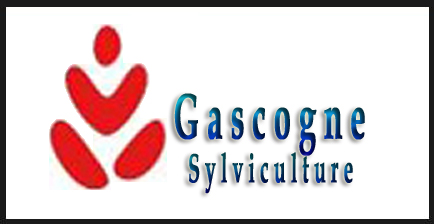 Gascogne — Sylviculture